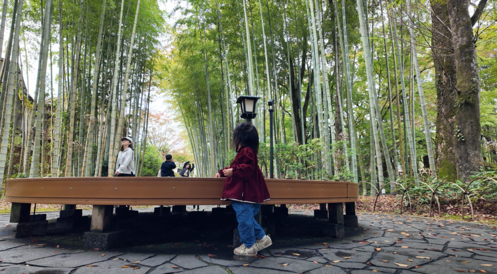 修禅寺　竹林の小径